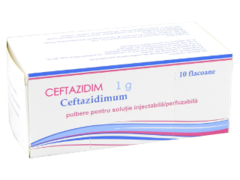 Ceftazidim N10