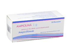 Ampicilina N10