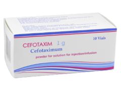 Cefotaxim N10