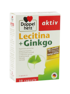Doppelherz Lecitina + Gingko N30