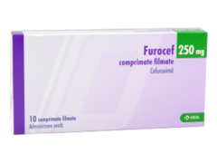 Furocef N10