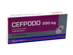 Cefpodo N20