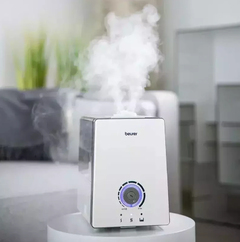 Beurer Filtru pentru LB44/45/88