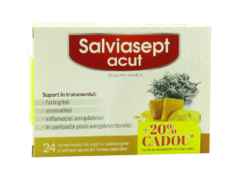 Salviasept Acut N24