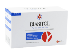 Диазитол N30