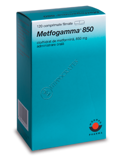 Metfogamma N120