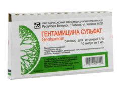 Gentamicin N10