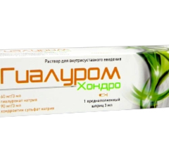 Гиалуром Хондро N1