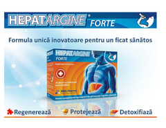Hepatargine Forte N20