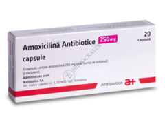 Amoxicilina N20