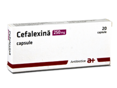 Cefalexina Atb N20