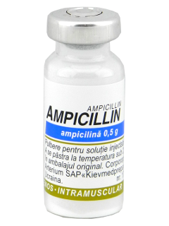 Ampicillin-KMP N1