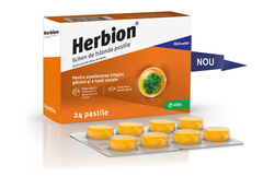 Гербион Исландский мох N24