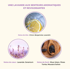 Corine de Farme Inessance apa de colonie Lavander N1