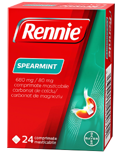 Rennie Spearmint N24