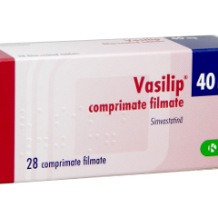 Vasilip N28