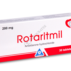Rotaritmil