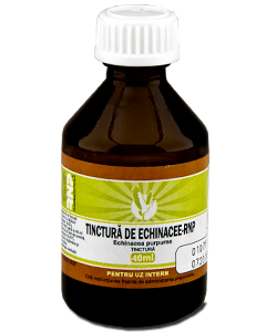 Echinacee N1