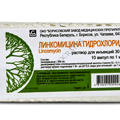 Lincomicin N10