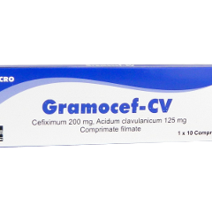 Gramocef-CV N10