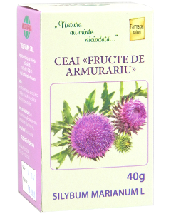 Silybi (Armurariu) fructus N1