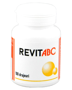 Revit ABC N100