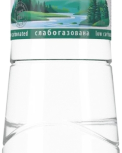 Apa miner. Truskavetka (slab carbo)