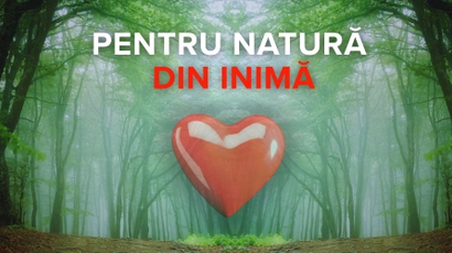 Pentru natură - din inimă: grijă pentru sănătate și ecologie împreună cu Hippocrates