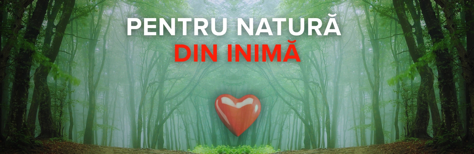 De la inimă - pentru natură: grijă pentru sănătate și ecologie împreună cu Hippocrates