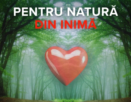 De la inimă - pentru natură: grijă pentru sănătate și ecologie împreună cu Hippocrates
